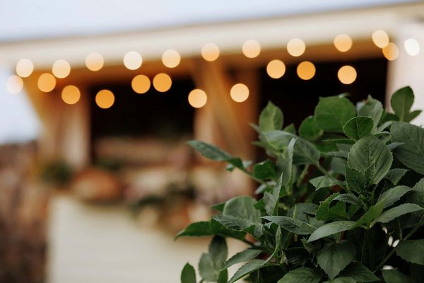 Transforming Your Café: Expert Tips for Crafting a Cozy and Welcoming Atmosphere